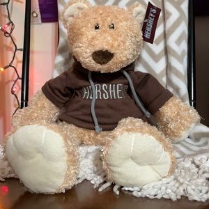 A teddy bear wearing a Hershey park sweater